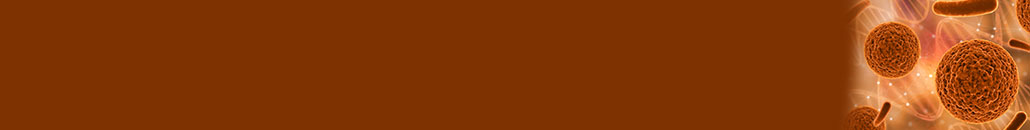 journal Banner